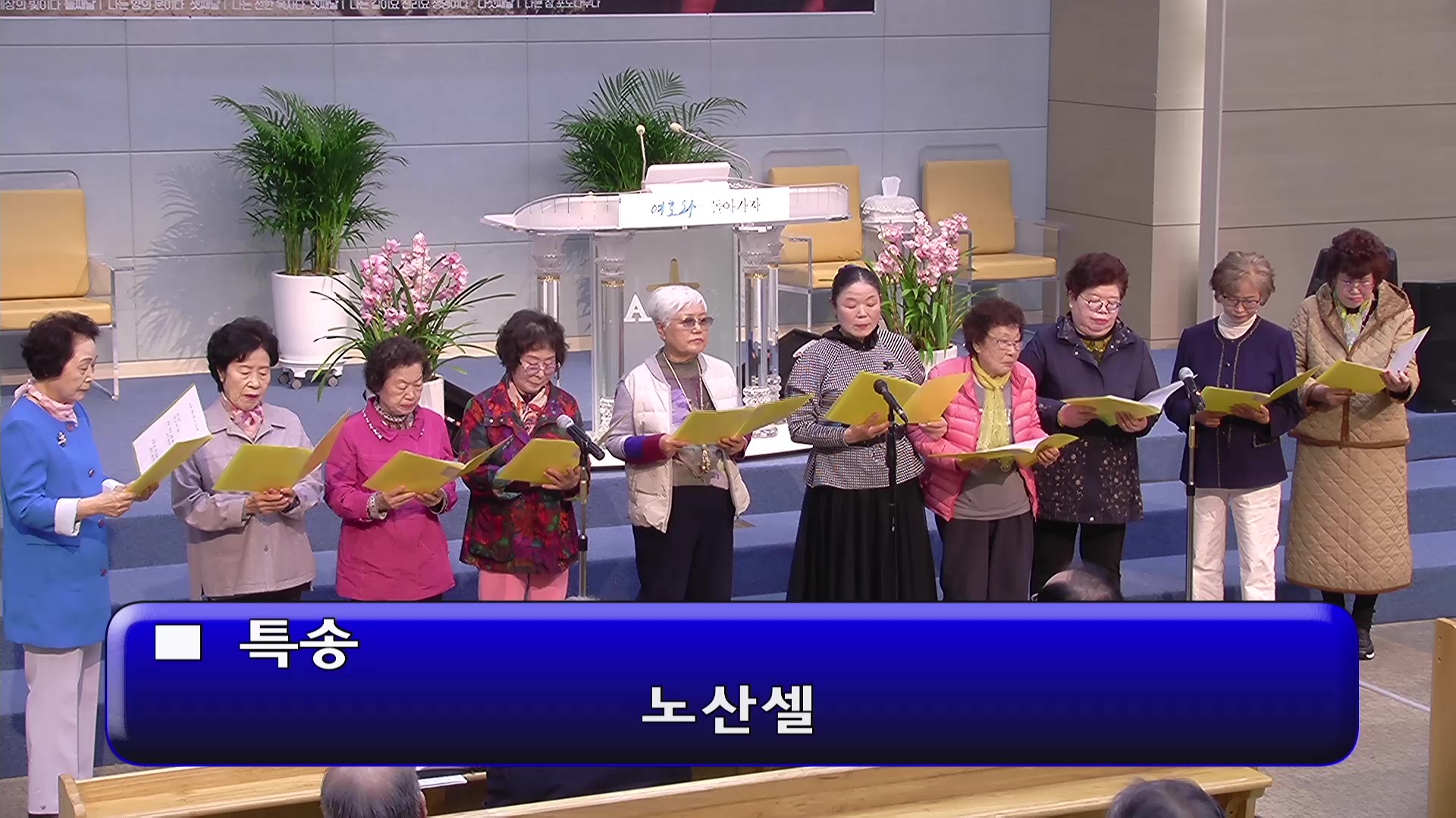 [ 오후특송 20260329 ] 노산 셀 - frame at 0m0s.jpg