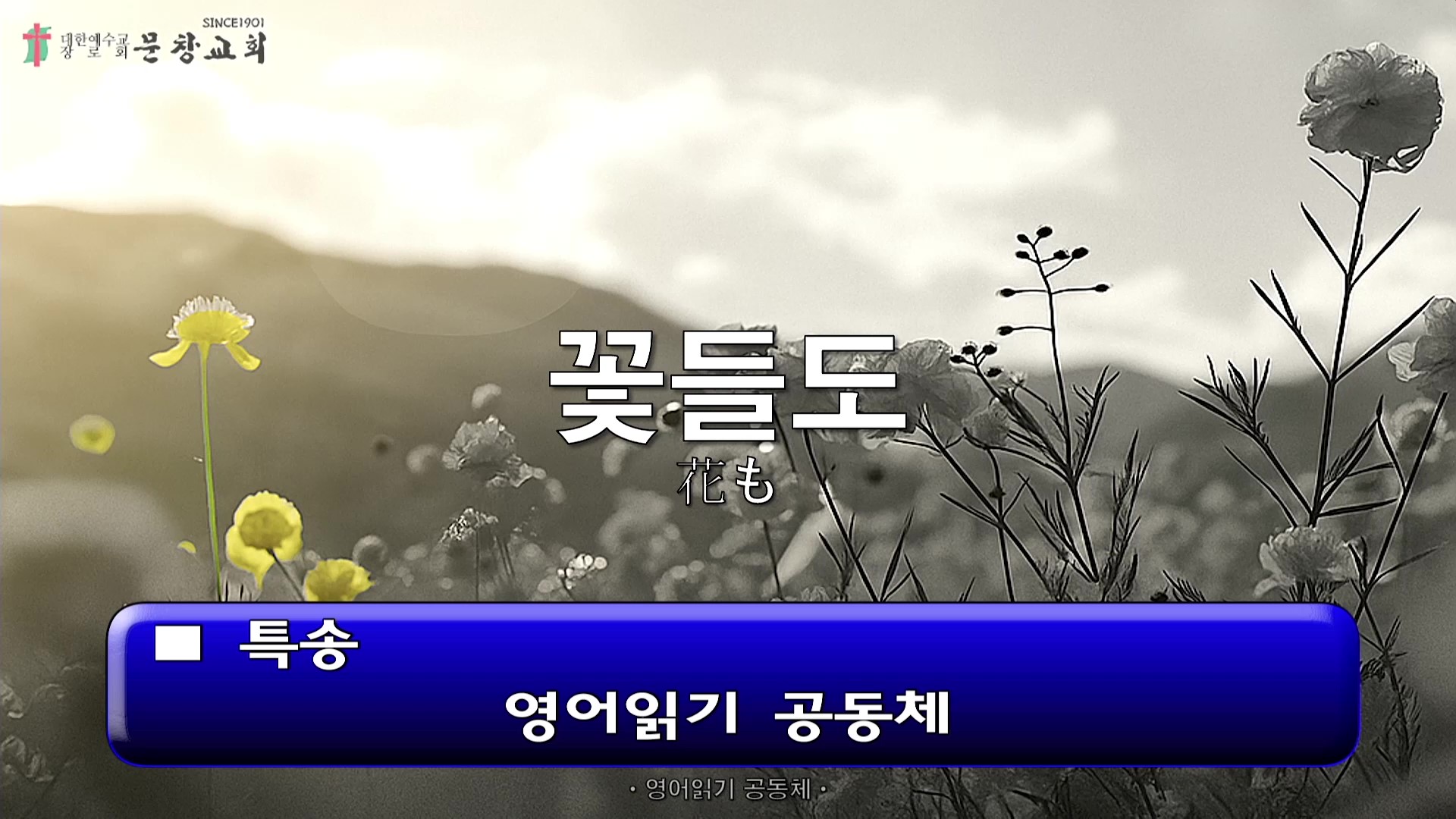 [ 수요특송 20251112 ] 영어읽기 공동체 - frame at 0m0s.jpg