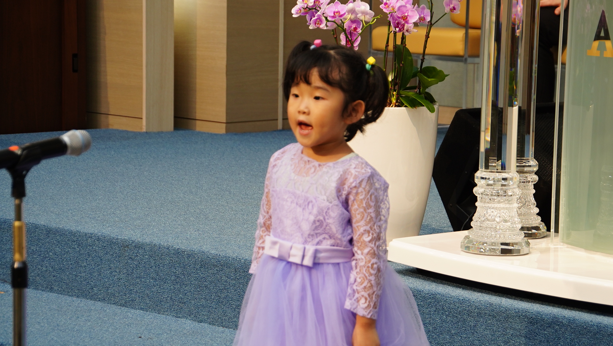 DSC08754.JPG